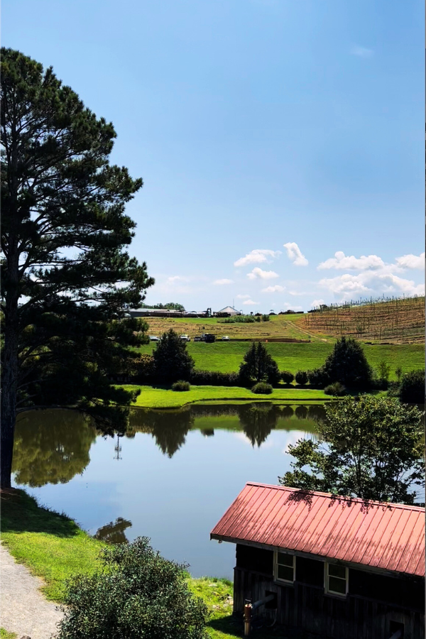 A Tale of Two Orchards: Wheeler & Mercier